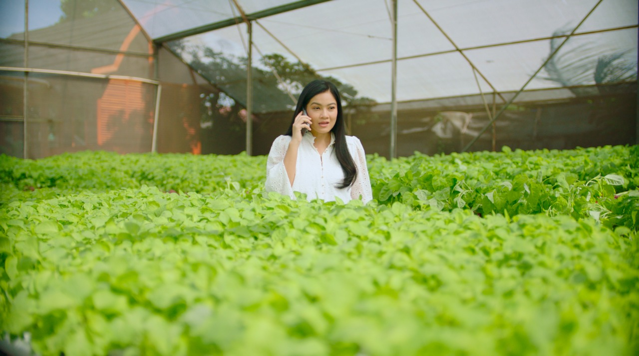 Dari Akar Tumbuh ke Atas